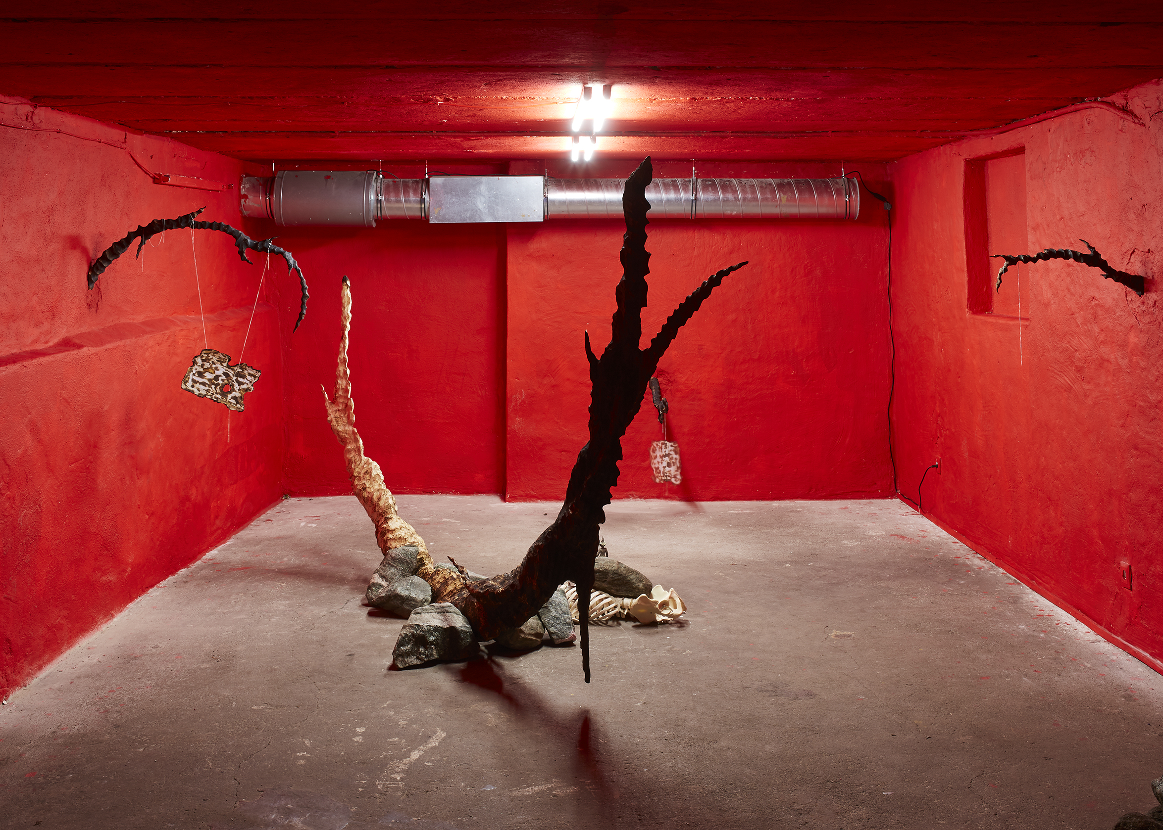 2020 07 Bild8005, Zurich — 01 Installation View Crave Cave By Jeronim Horvat — Jeronim Horvat